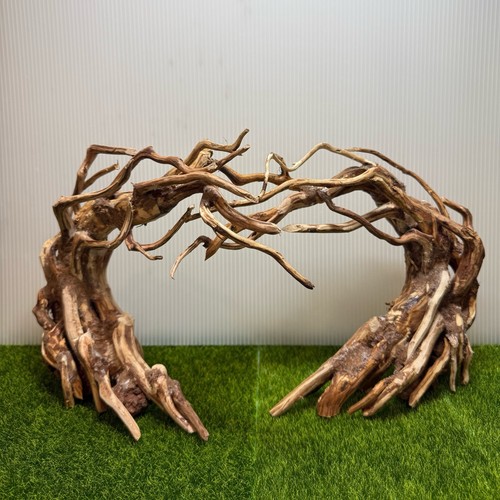 Driftwoods per acquario - driftwoods,