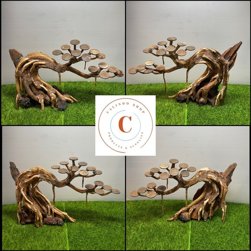 Acquario driftwood bonsai - driftwood,