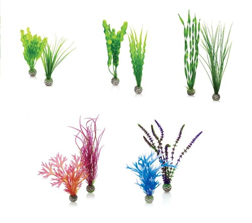 Oase biorb easy plant - oase,
