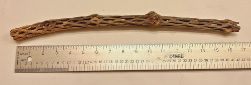 Cactus legno tessuto - cactus, cavo