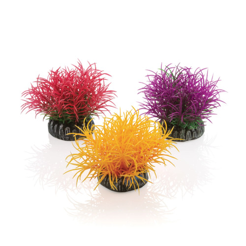 Oase living water biorb set - living,