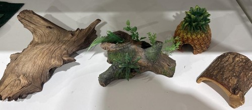 Recinto per rettili driftwood - rettili,