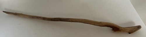 Pianta acquario naturale - , 16"