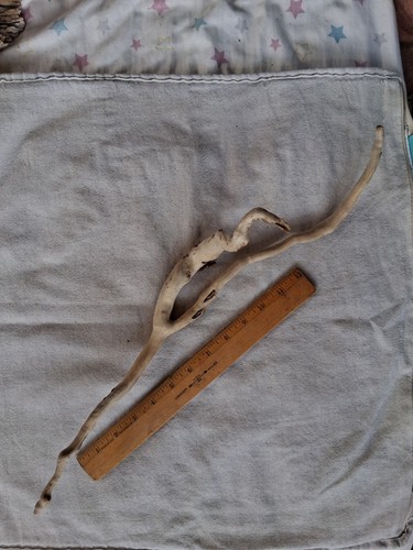 Autentici pezzi legno - di,