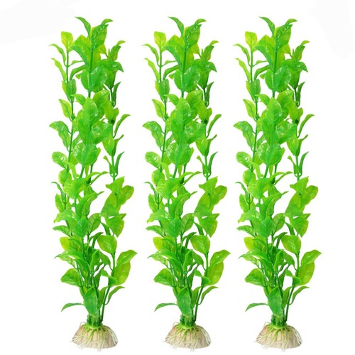 Sungrow set piante - sungrow, per