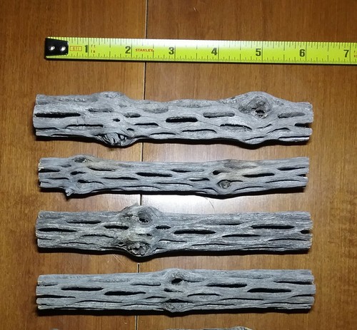 Pezzi pollici cholla - pezzi,