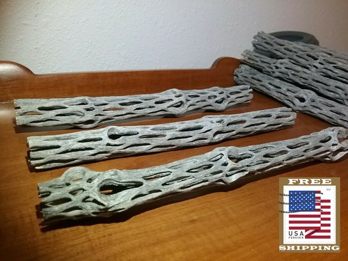 Pezzi legno cholla - 3,
