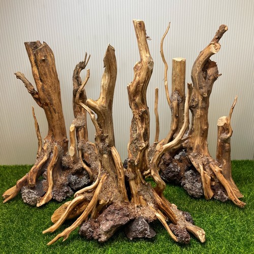 Acquario driftwood fatto - driftwood,