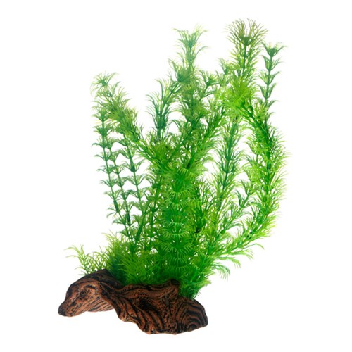 Hobby flora root 30 cm - 30,