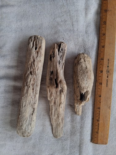 Autentici pezzi legno - di, alla