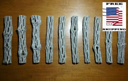 Cholla legno cactus - cholla, |