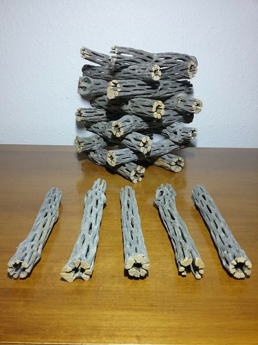 Pezzi legno cholla 5 - legno, da