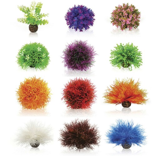 Oasi biorb topiaria fiori - oasi,