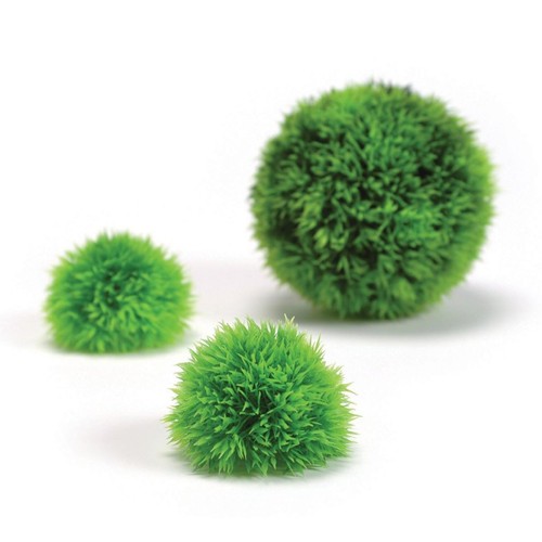 Biorb easy plant verde - biorb,