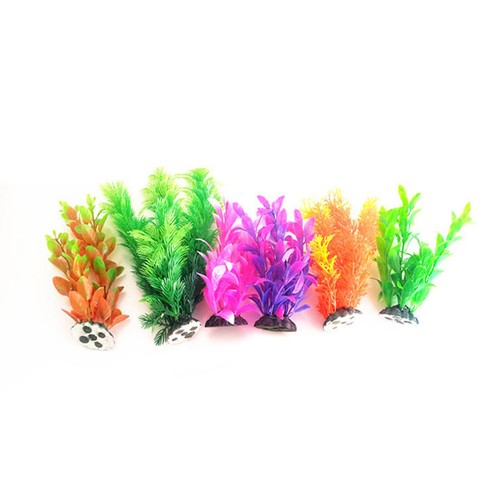 6pz piante per acquario - piante,