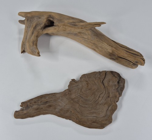 Legno naturale driftwood per - legno,