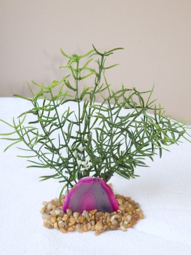 Pianta plastica diti - in, 6"