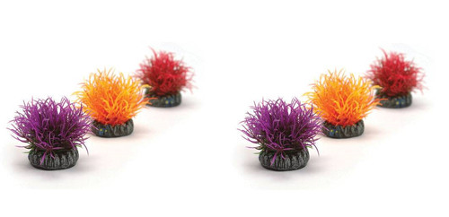 Oase biorb aquatic color - biorb,