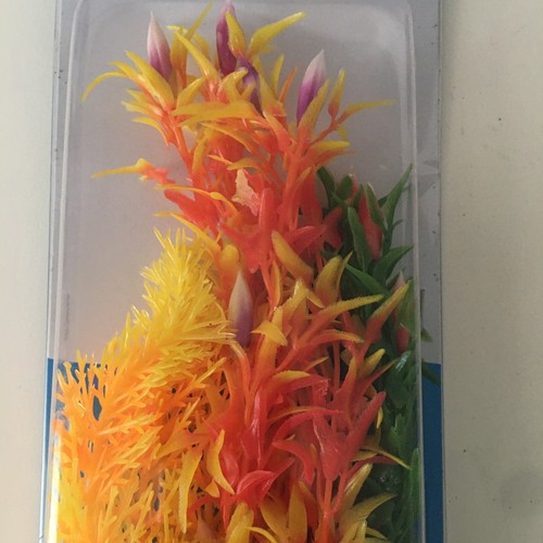 Top fin mondi - top,