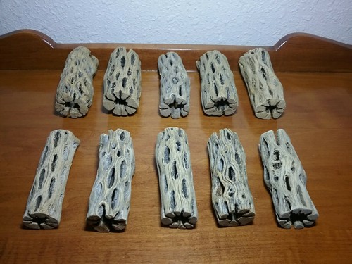 Pezzi cholla legno - 10, 3"