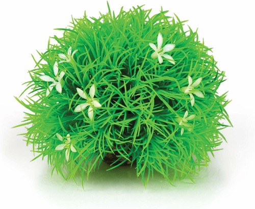 Pianta oasi biorb piccola - pianta,