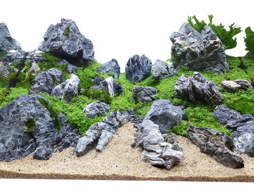 Libbre aquascaping seiryu - 25,