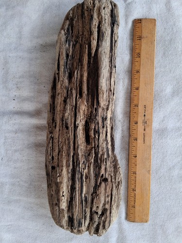 Autentici pezzi legno alla - autentici, di
