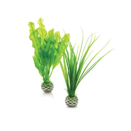 Biorb easy piccola pianta - piccola,