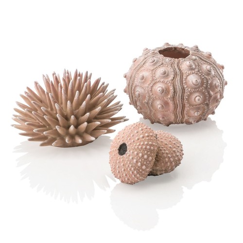 Oasi biorb ornamento ricci - biorb, di